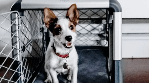 Diggs Inc. closes Million Series A