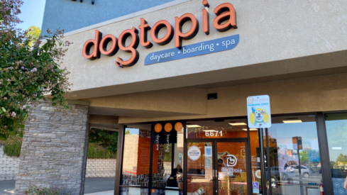 Dogtopia partners with NutriSource to offer food and treats in its dog daycare locations