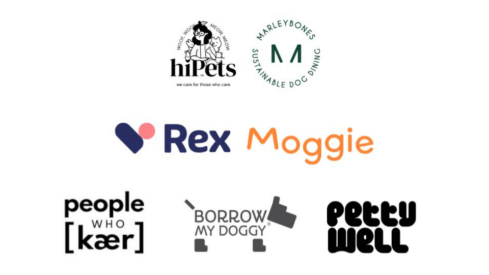7 European pet startups join accelerator program