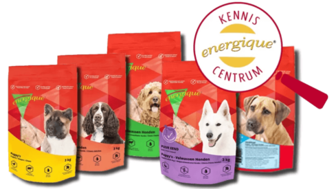 Voff enters Dutch market with acquisition of raw pet food producer