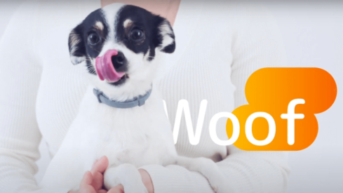 Exports boost i-Tail’s performance in 2022