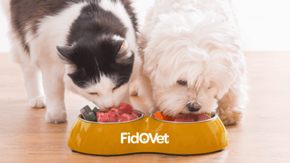 FidOVet acquired by a technology company