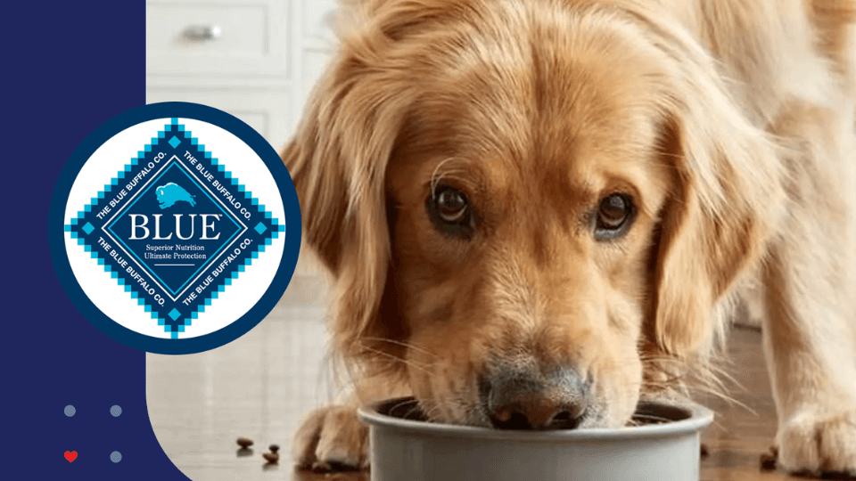 Blue diamond outlet dog food commercial