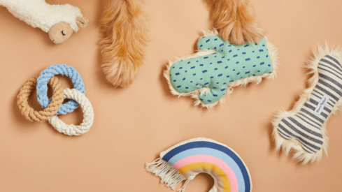 SportPet acquires Mission Pets