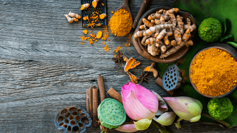 Has the Ayurveda revolution arrived for pets?