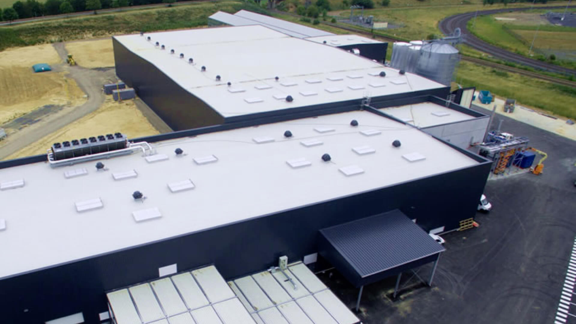 InnovaFeed and ADM partner to commercialize insect protein in pet food in the US