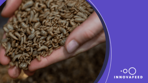 Innovafeed raises 0 million in a Series D funding