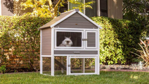 Huntington Rabbit Hutch