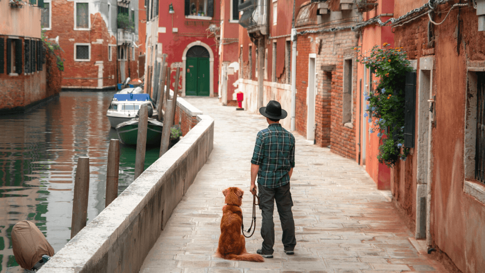 How much do Italian pet parents spend on vets?