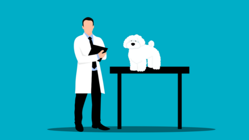 JAB holding grows bigger in the pet insurance business with .4 billion deal