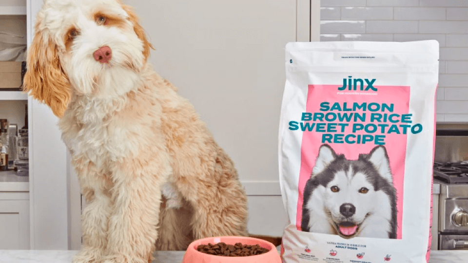 Jinx raises $28 million to expand - GlobalPETS