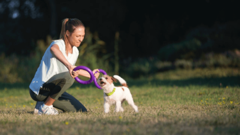 The future of the pet economy: how brands create value for pets