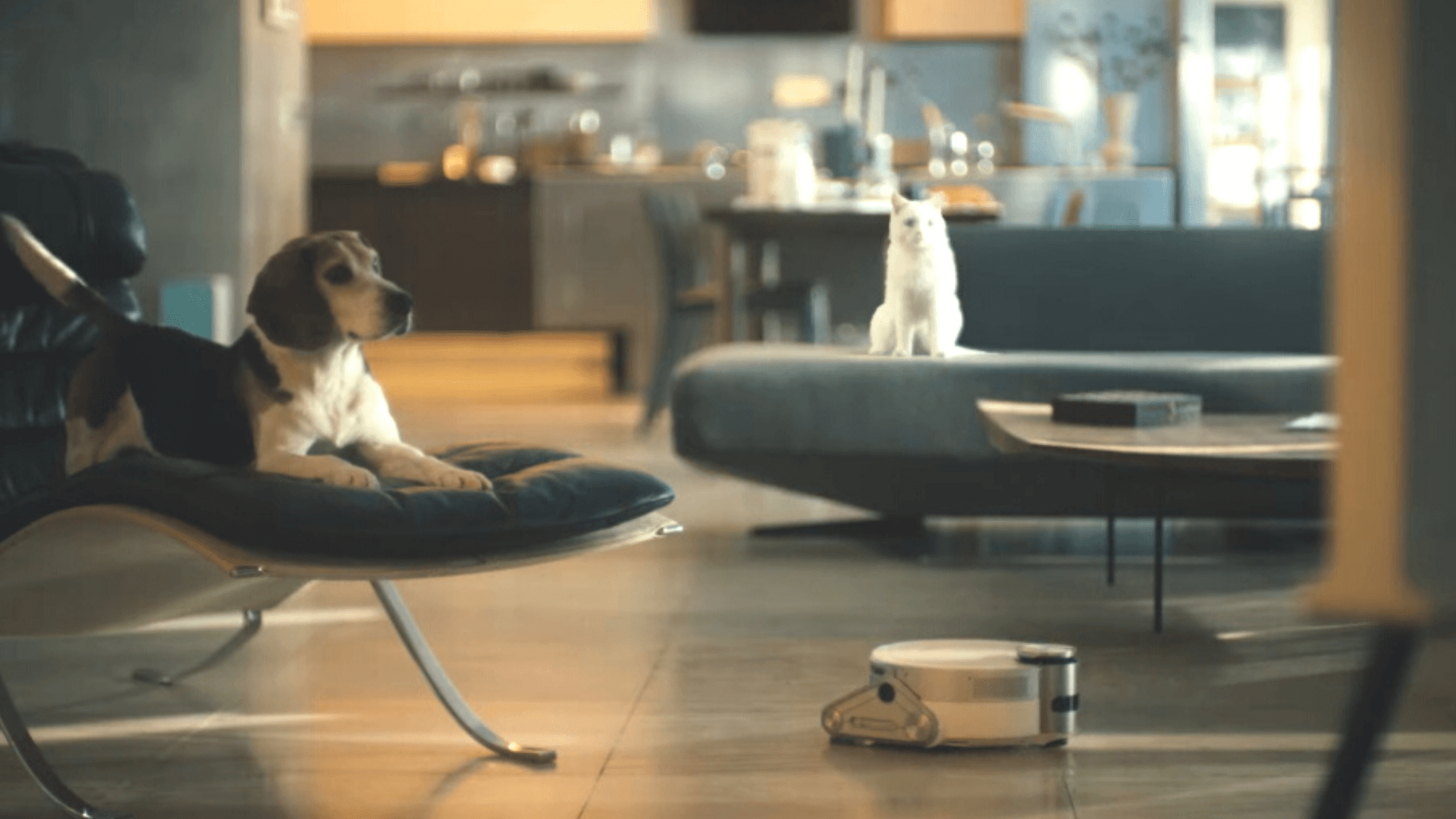Tech giants enter pet care field with specialized home appliances