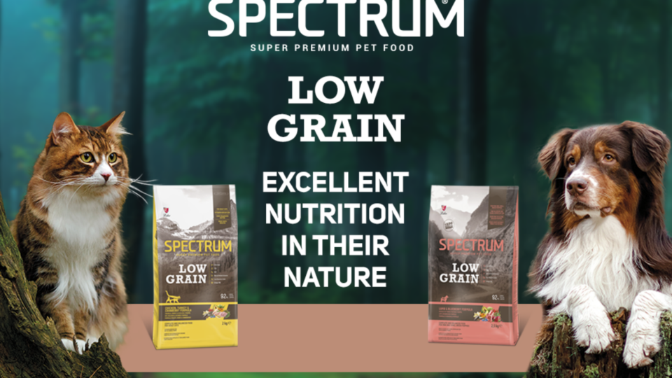 Low grain dry pet