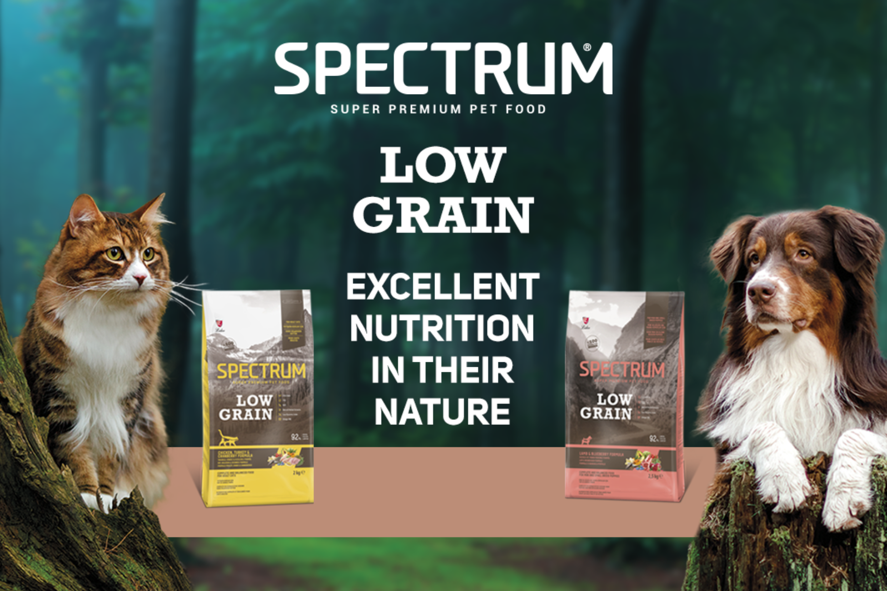 Low grain dry pet