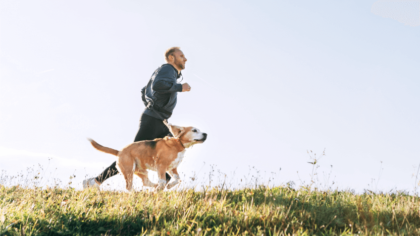 Pet brands harness well-being