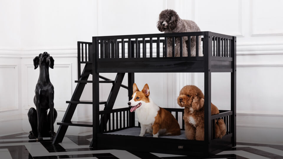 Bringing durability and style to pets in and outside the house