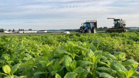 Feed additives firm Adisseo acquires animal nutrition company