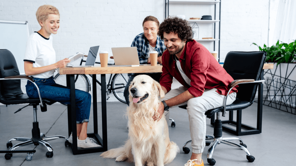 Do employees miss their dog more than their spouse or kids?