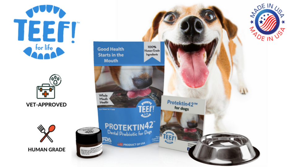 Patented prebiotic dental care