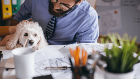 PetMed Express and Vetster reach new service partnership