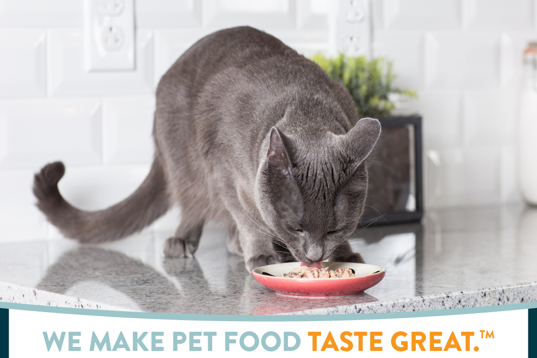 We make pet food taste great