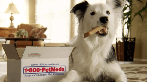 PetMeds reports a sharp decline in sales