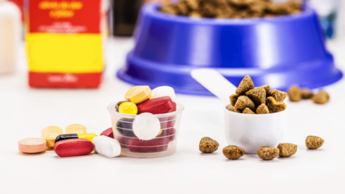 South Korean pharma company forays into pet nutrition sector