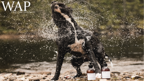 WAP dog care products