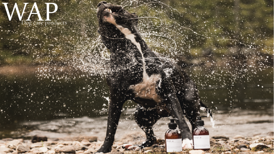 WAP dog care products