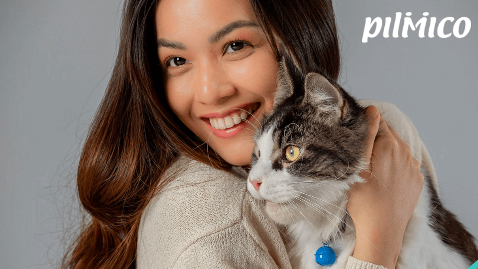 GlobalPETS | Filipino agribusiness Pilmico’s pet portfolio soars 322% Filipino agribusiness Pilmico’s pet portfolio soars 322%