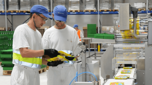 Purina invests €350 million in its Hungarian plant