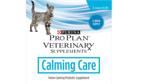 Purina launches probiotic supplement for cats