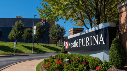 Purina continues to grow in the first half of 2021