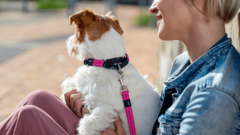 ROGZ opens distribution hub in the UK to avoid exporting issues