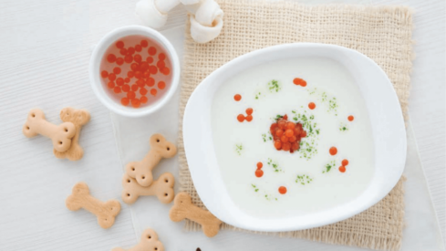 Thai Union to operate its pet food business in America under a new company