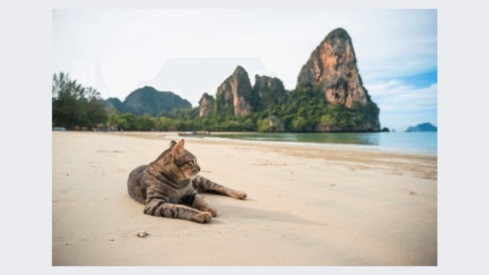 Opportunities in Thailand for pet food companies