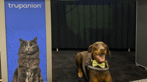 European and American pet insurance join forces