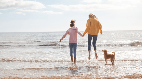 4 out of 10 British pet parents have difficulties giving their dogs all they need