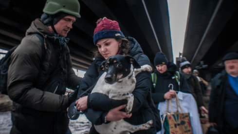 Ukrainian players see relocation and international sales as safeguard against war