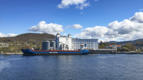 DSM accelerates growth in plant-based proteins through acquisition of Vestkorn Milling