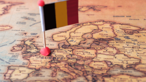 Belgian pet market increases 42% in 4 years