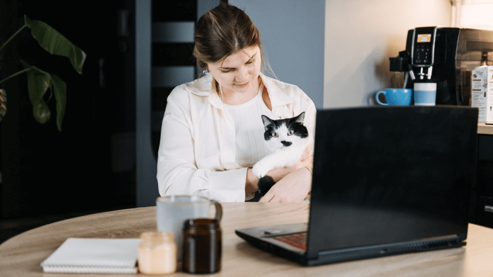 What’s up with veterinary telemedicine?