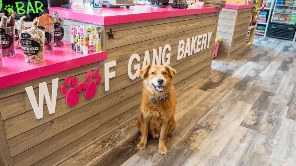 Woof Gang Bakery & Grooming on track to open its 150th location