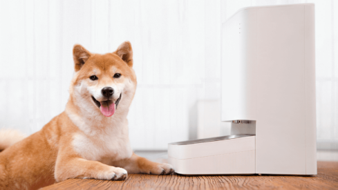 Xiaomi to “deepen efforts” in expanding tech gadgets for pets