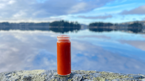 Salmigo® Protect L60