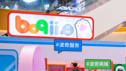 Chinese pet platform Boqii announces last quarter’s results