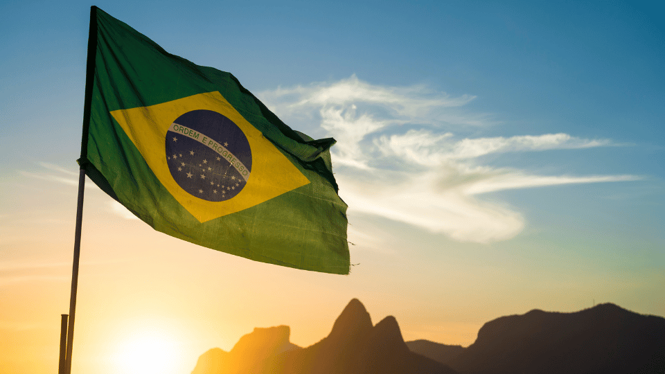Brazil’s pet market revenue jumps 16.4%