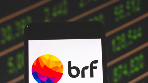 BRF buys Brazil pet food firm Mogiana Alimentos