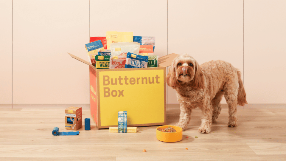 Europe’s largest fresh dog food brand Butternut Box acquires PsiBufet